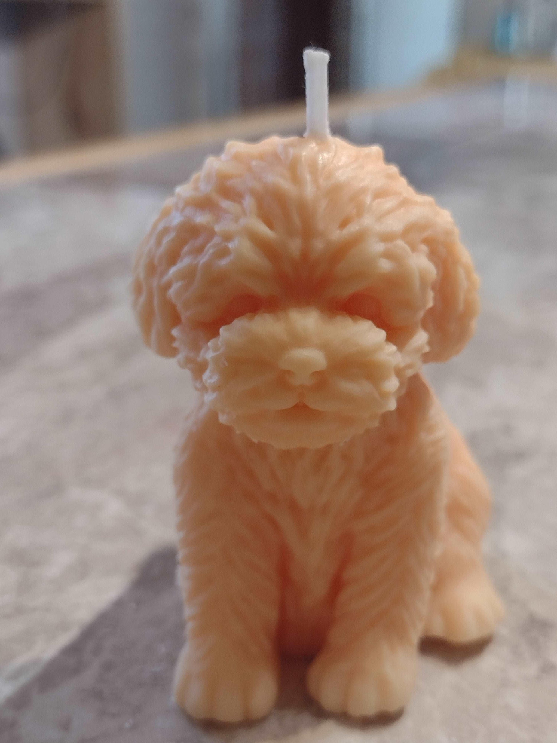 Fluffy Paws Candle - Scent Fushion