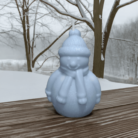 Frosty Friend Candle - Scent Fushion
