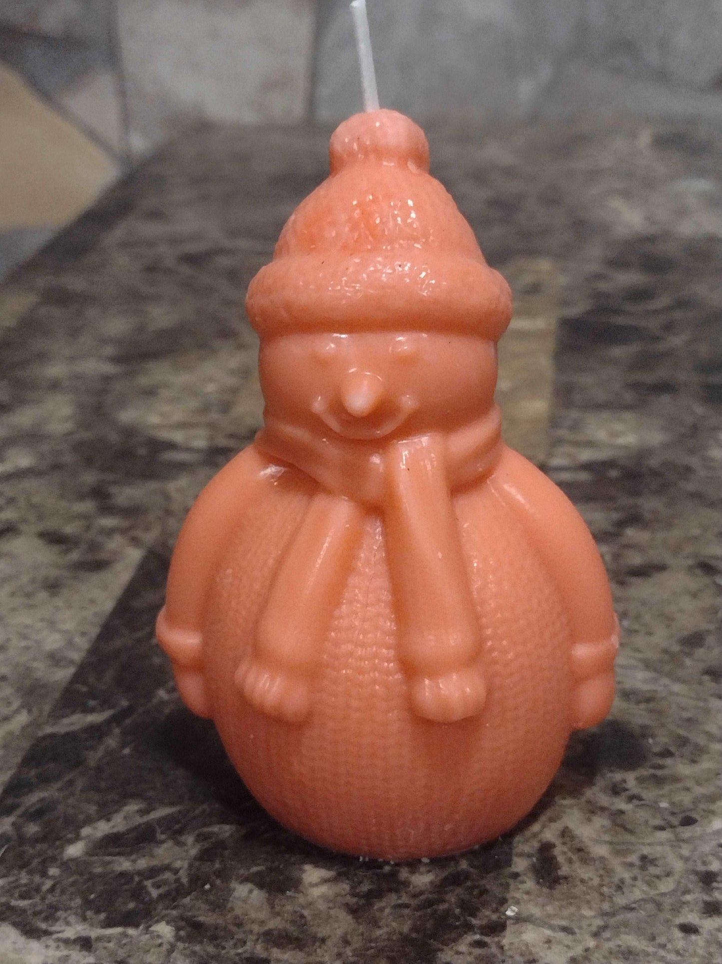 Frosty Friend Candle - Scent Fushion