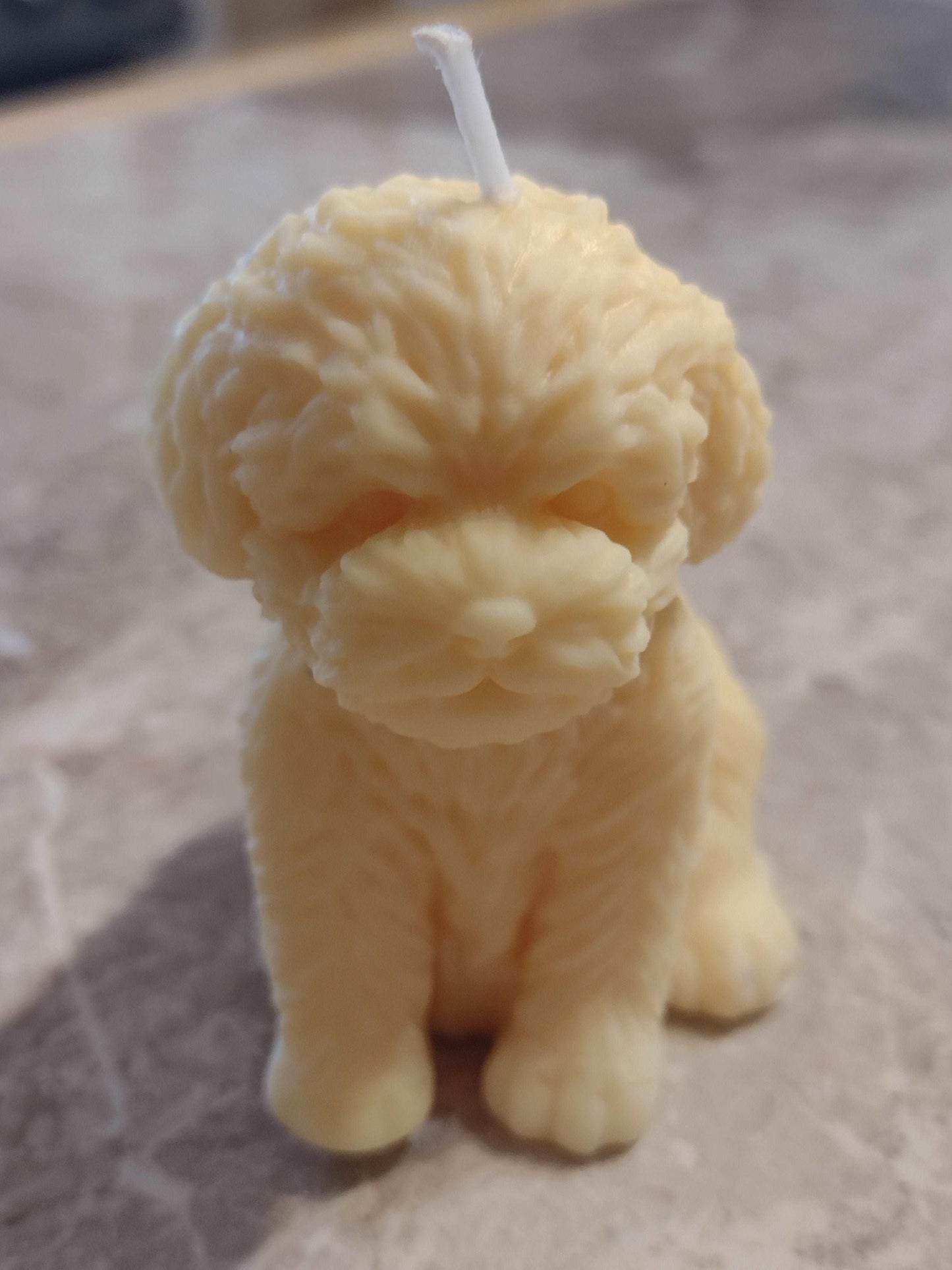 Fluffy Paws Candle - Scent Fushion